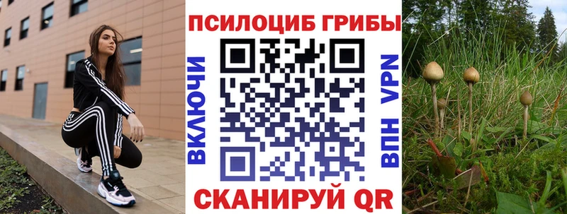 как найти закладки  Ипатово  Псилоцибиновые грибы Psilocybe 